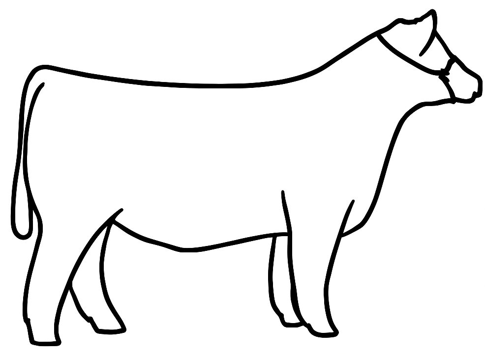 Show Steer Diagram